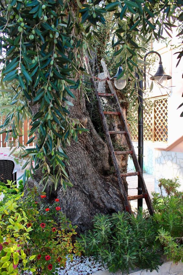 Villa Marchionna В'єсте Екстер'єр фото